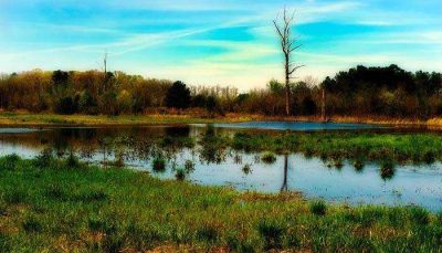 BC Townside Square Limestone Park 6