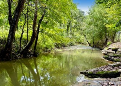 CD 000 hazel green hazel green al Elk River