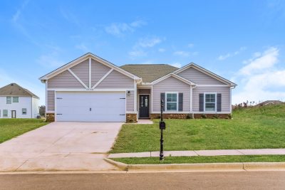 000 photo front view 12272435