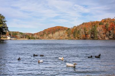 BA Twelve Oaks Cosby Lake Park