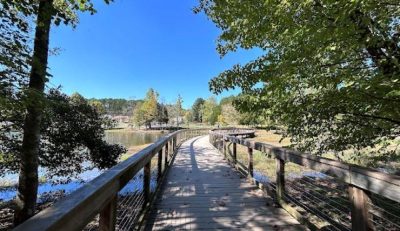 BB Twelve Oaks Cosby Lake Park