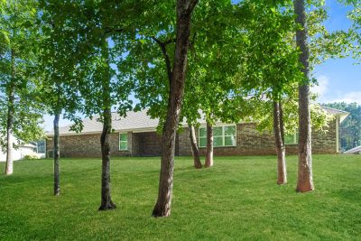 019 photo rear view 14855382