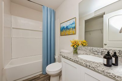 004 photo main bathroom 14648481