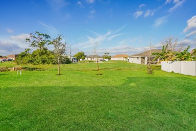 014 photo backyard 13476182