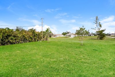 020 photo exterior 12610729