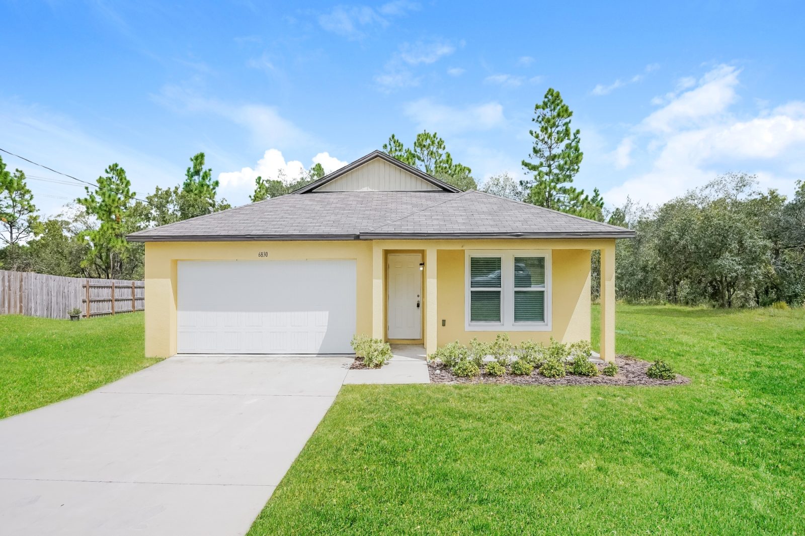 000 photo front view 13169824