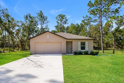 000 photo front view 11889633