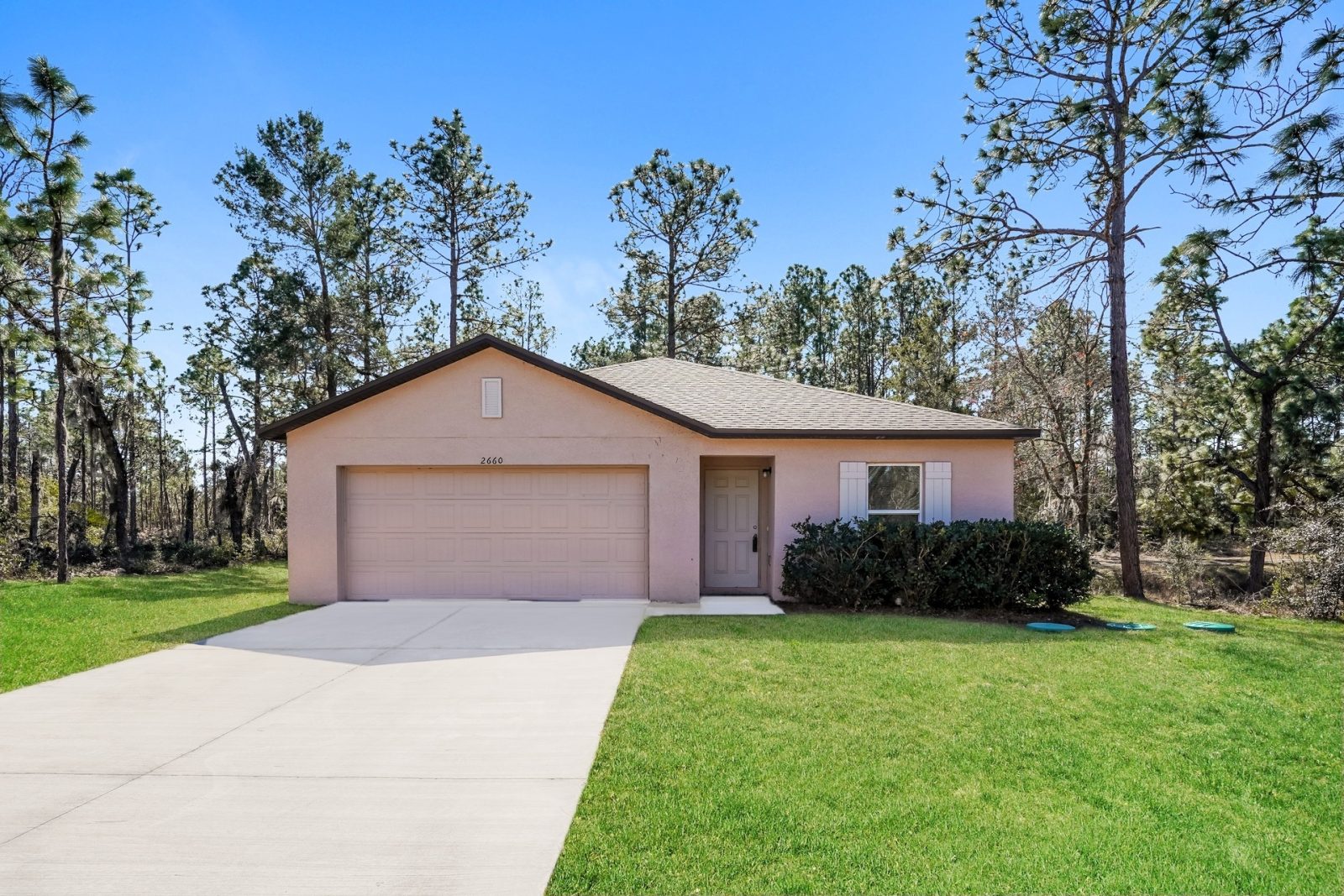 000 photo front view 15140970