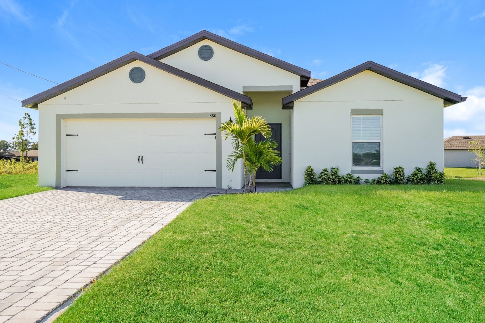 000 photo front view 13230608