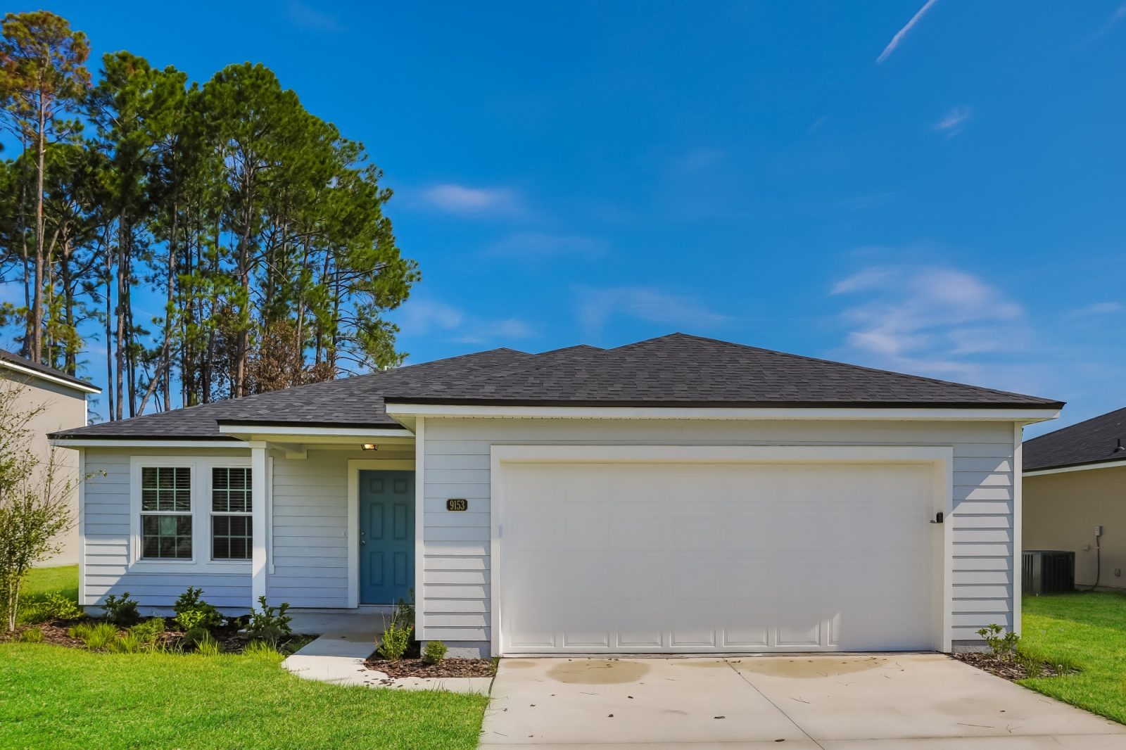 000 photo front view 11616259