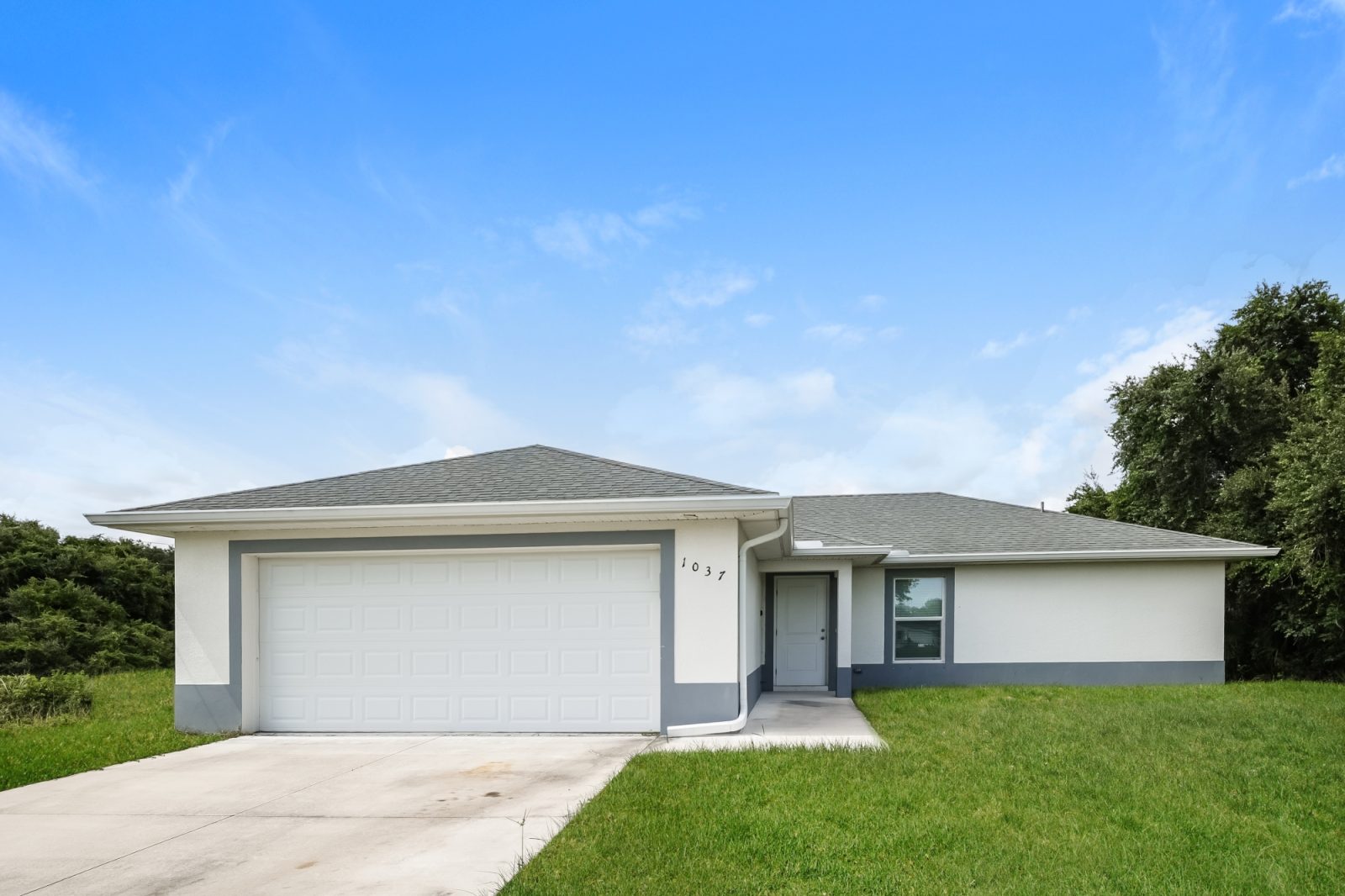 000 photo front view 15557305