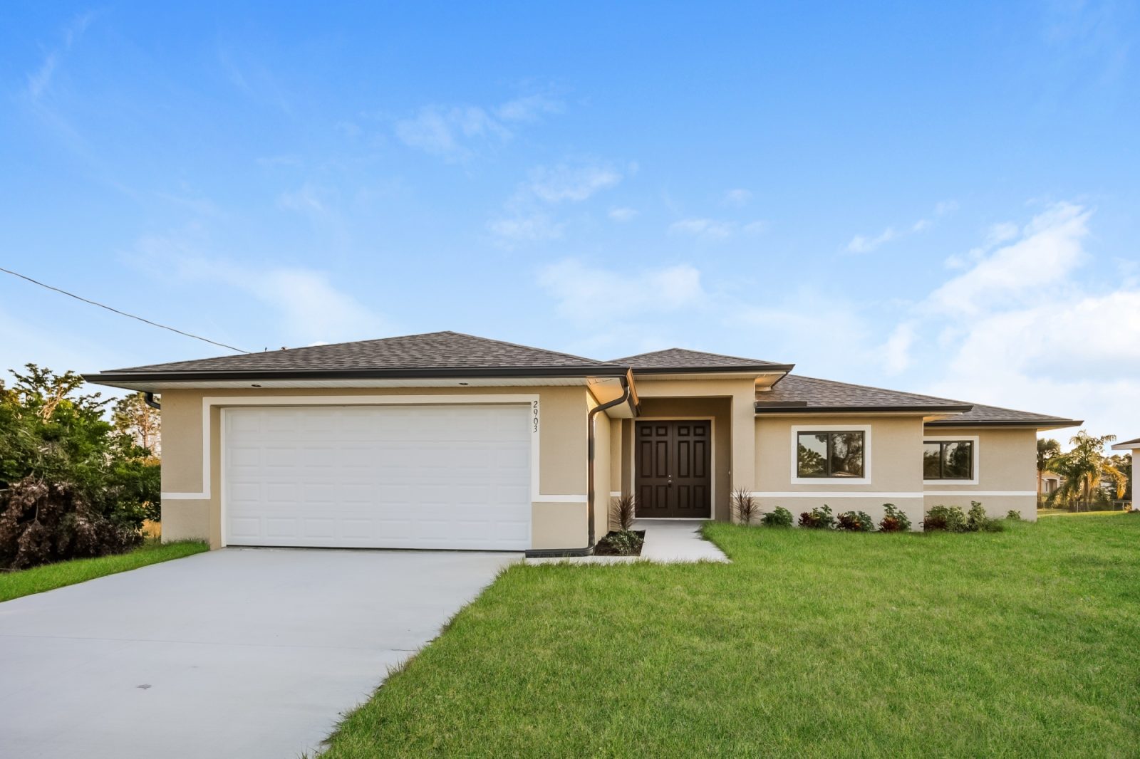 000 photo front view 12269702