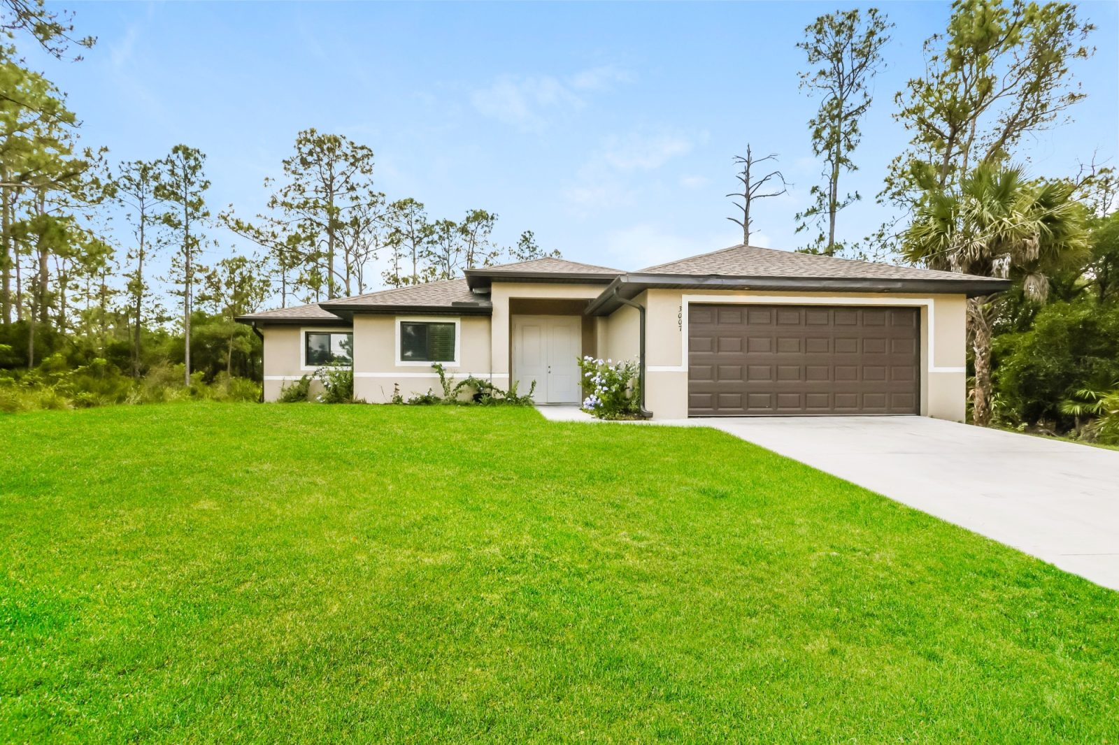 000 photo front view 14520774