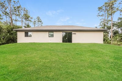 019 photo rear view 14520780