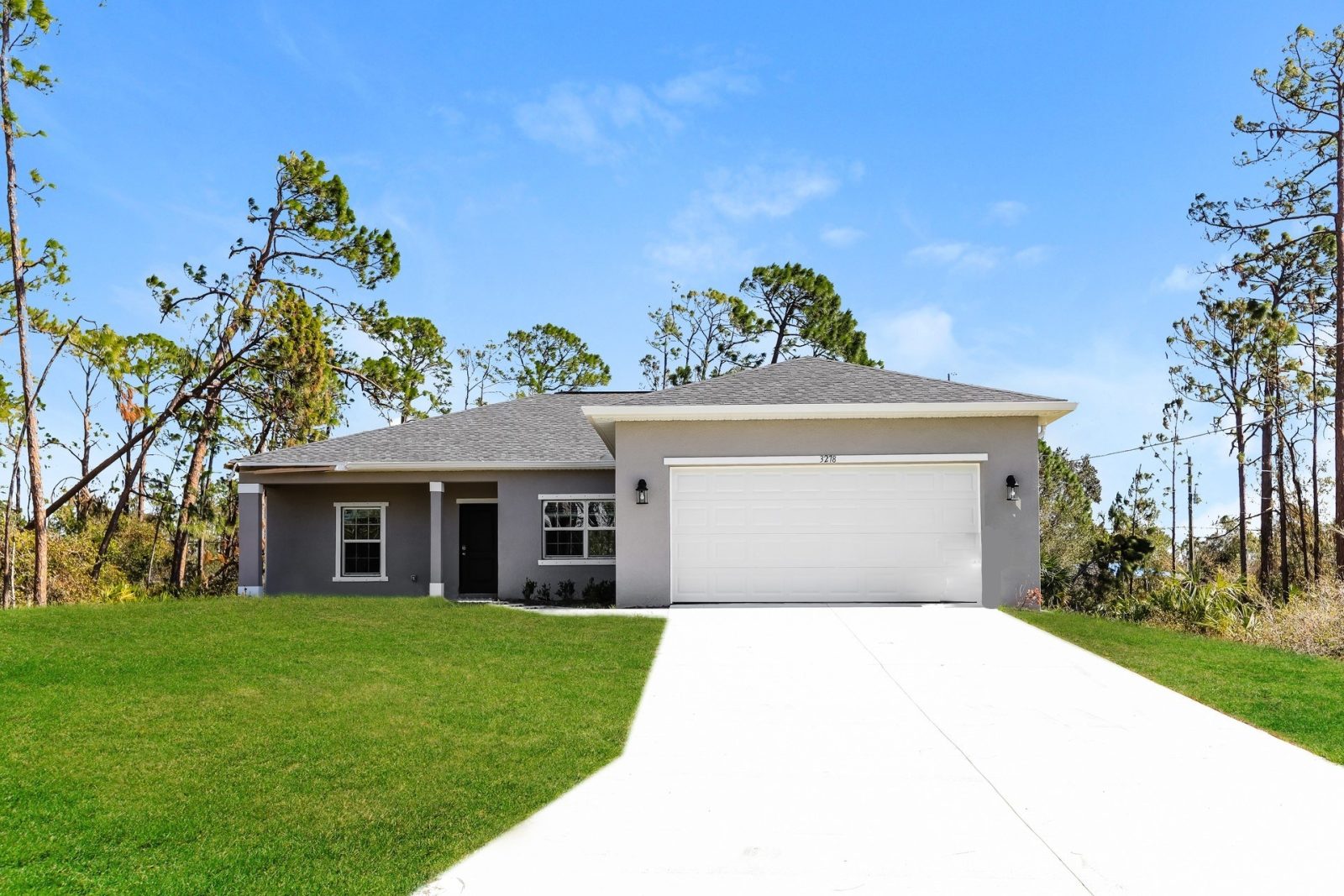 000 photo front view 12025063