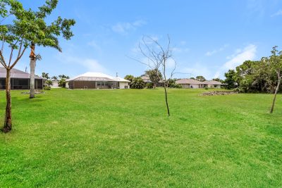 014 photo rear view 13039567