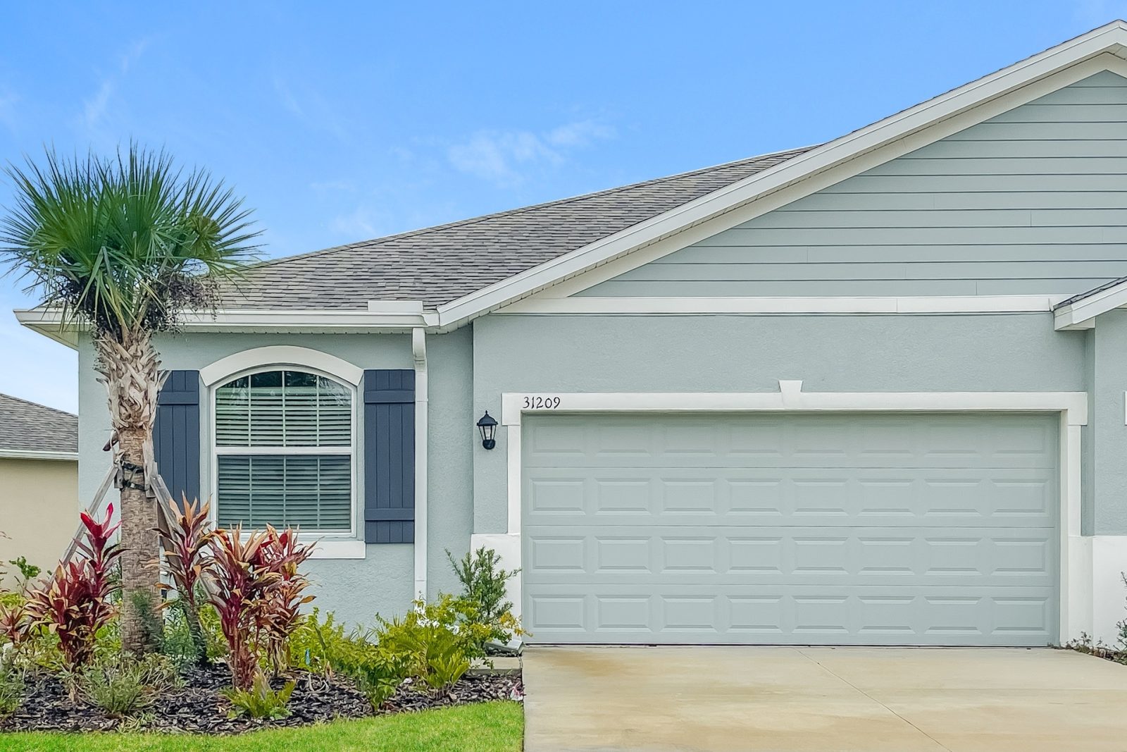 000 photo front view 12334445