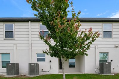 020 Rear View ET31302