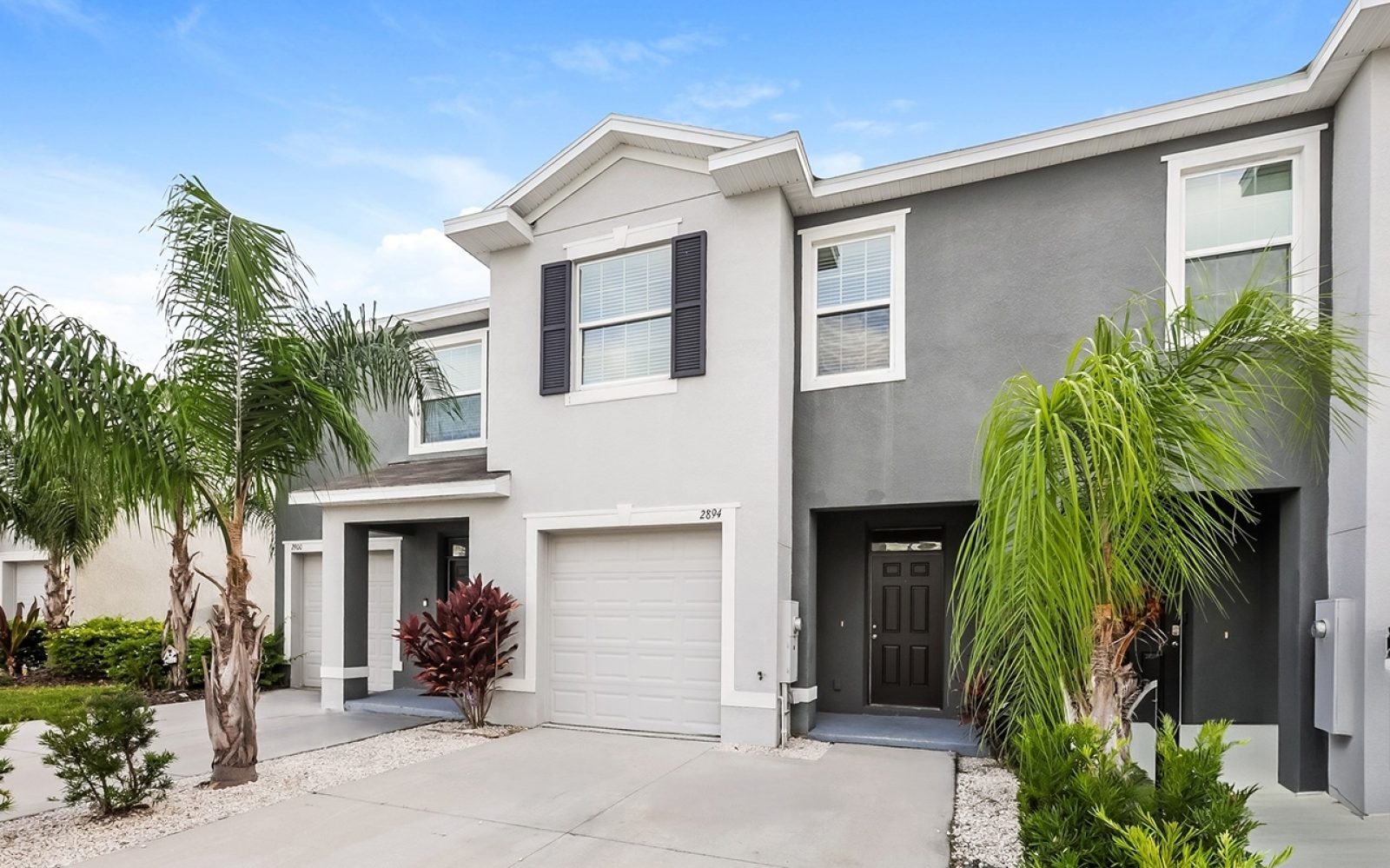 000 000 photo front view 14890365