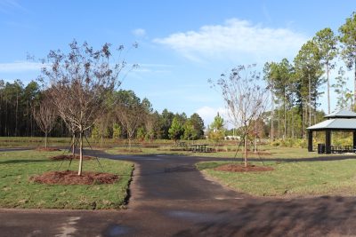 BF Nassau Crossing Park 2