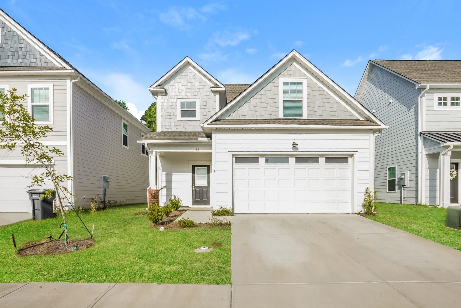 000 photo front view 12689433