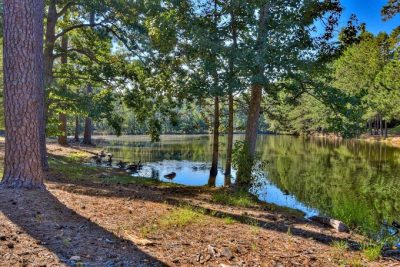 BB Brookstone at Forest Lake Lake