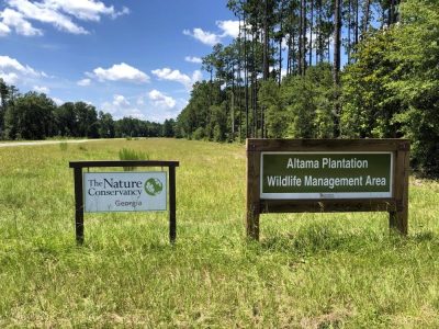 BA Saddle Brooke Atlanta Plantation 1