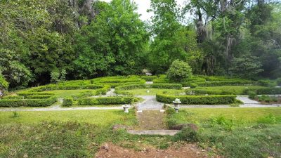 BC Saddle Brooke Atlanta Plantation