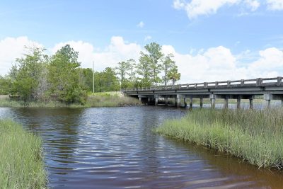 BD Saddle Brooke Turtle River