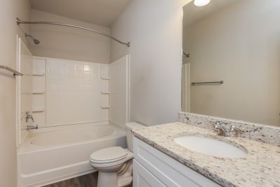 010 Main Bathroom ET43044