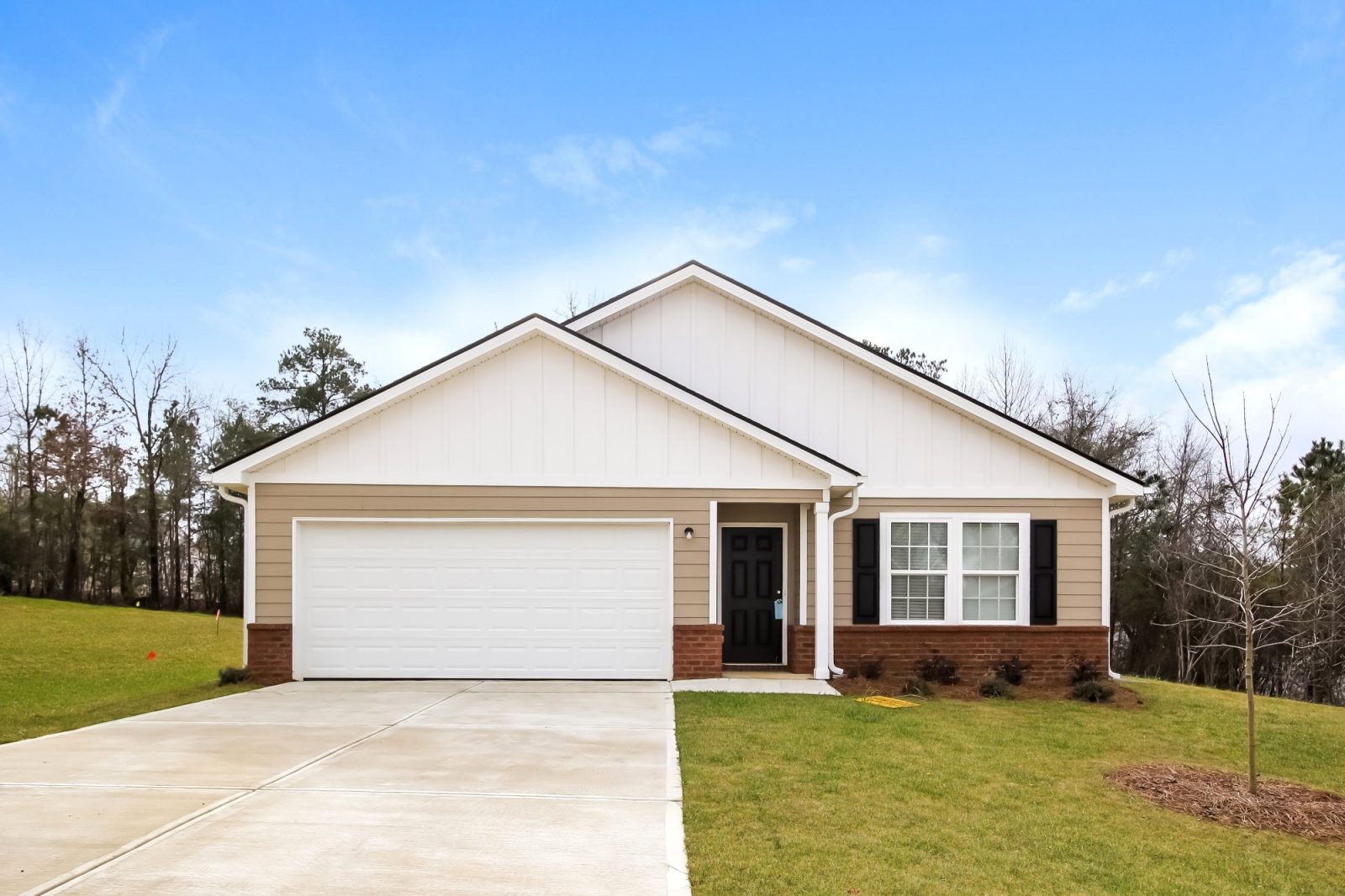 000 photo front view 10339238