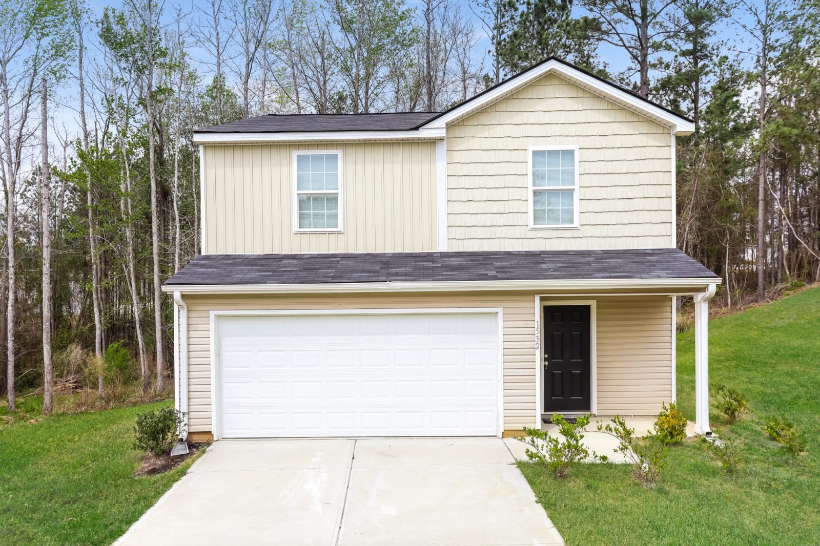 000 photo front view 12580421