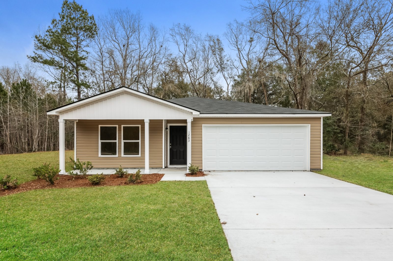 000 photo front view 12377495
