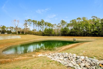 AD 005 photo amenities 14319607