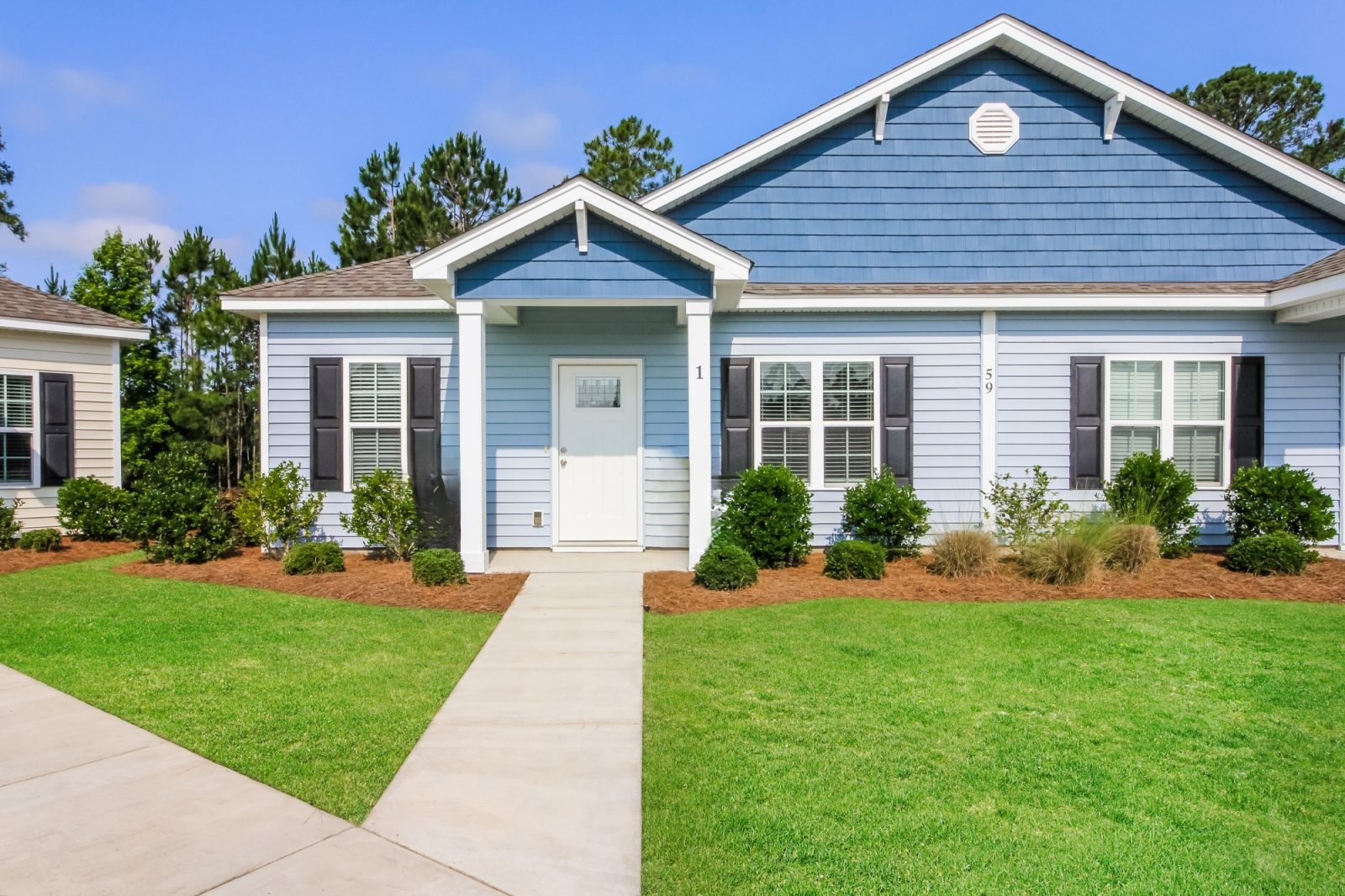 000 photo front view 12842206