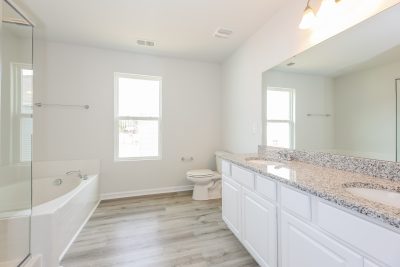 011 Main Bathroom ET61029