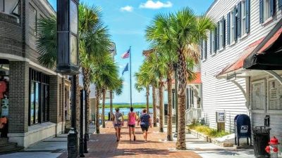 BD Palmetto Place