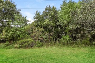 015 photo rear view 14071828