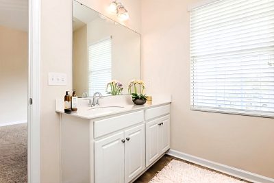 004 14 photo VS Main Bathroom 12c48d51 1400 41c9 96fd 2987eaa04eff