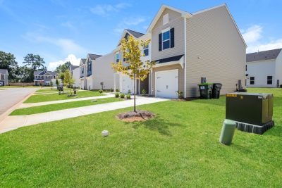 000 photo front view 11798915