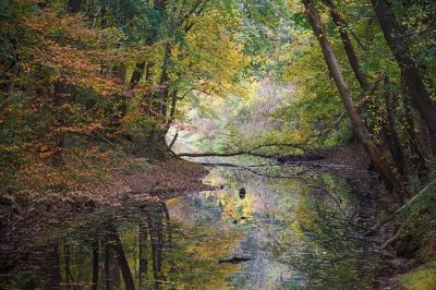 BC Sidney walk Saluda Shoals Park 3
