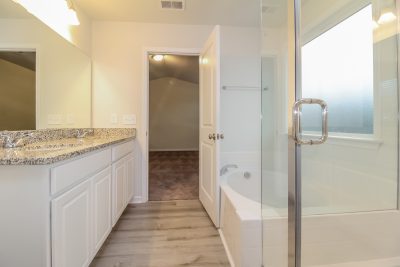 009 Main Bathroom ET41139