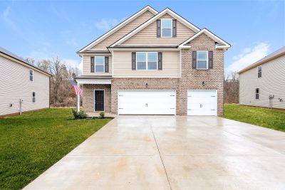 000 photo front view 10143046