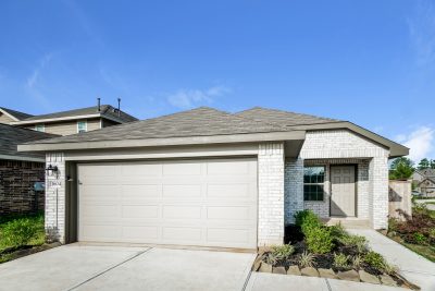 000 photo front view 11631030