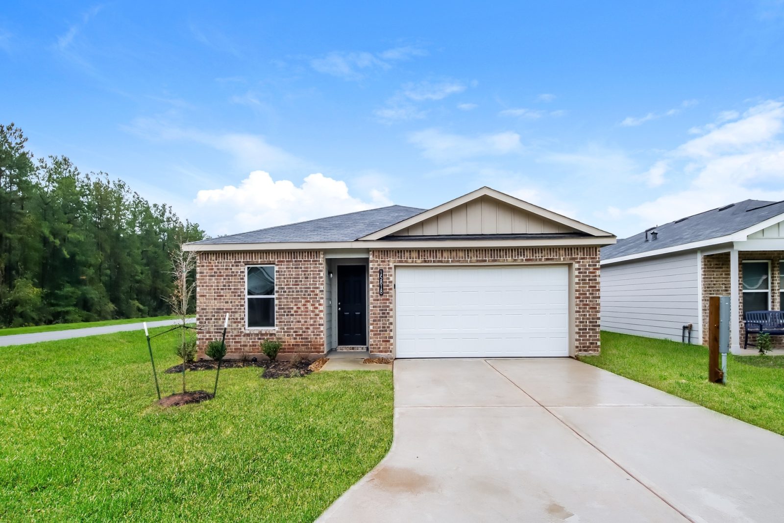 000 photo front view 11988185