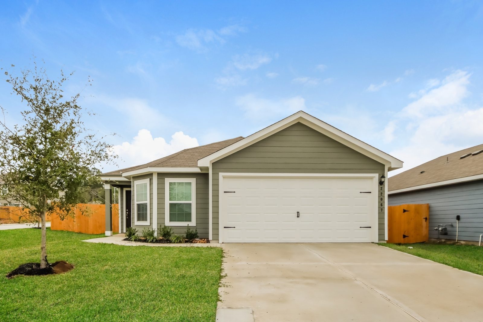 000 photo front view 12275745