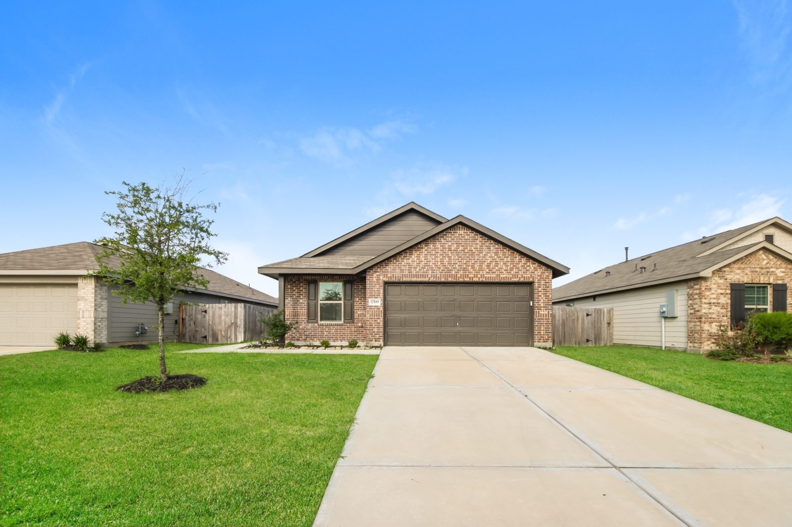 000 photo front view 13750701