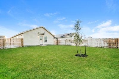 013 photo rear view 11990093