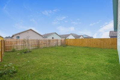 Backyard 12580328
