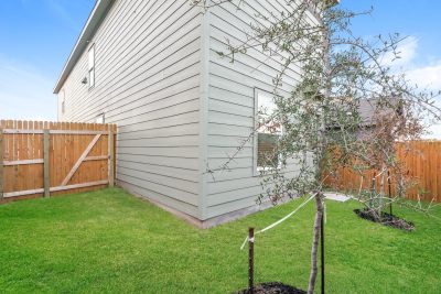 015 photo rear view 12008975